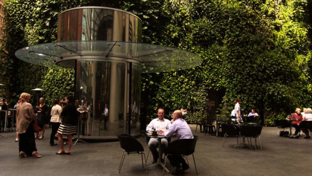 Unquenchable thirst: The established hanging garden at 1 Bligh Street.
