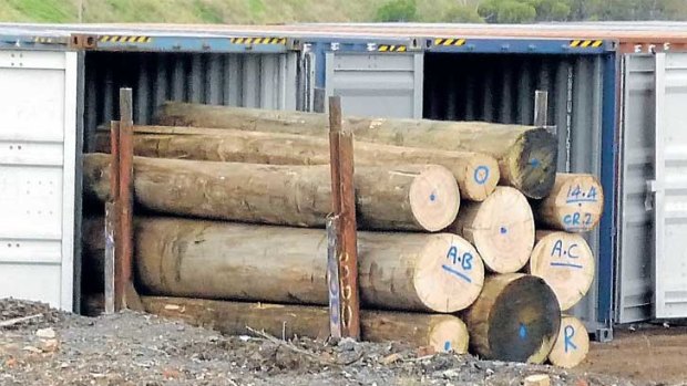 Harvested from Victoria's bushfire-damaged native forests, these valuable logs have been stored in a Brooklyn timber yard.