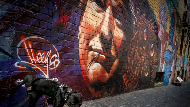 A dog urinates on a graffiti of Donald Trump at a laneway in Melbourne.