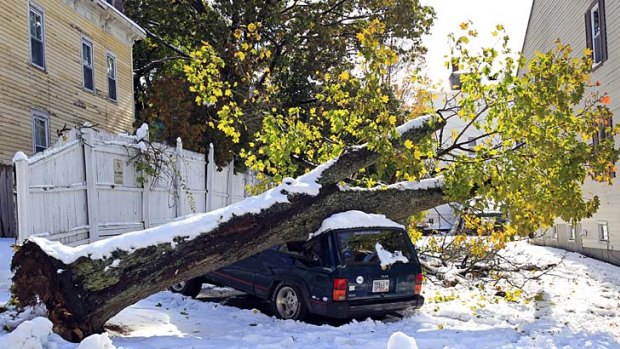 Snow ... a large tree falls on top of a car in Worcester, Massachusetts.
