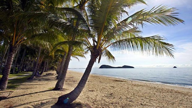 Paradise: Palm Cove.