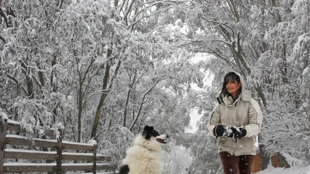 Falls Creek's Lisa Logan, with Blossom, enjoys the wintery blast that brought more than 30 centimetres of snow to the area.