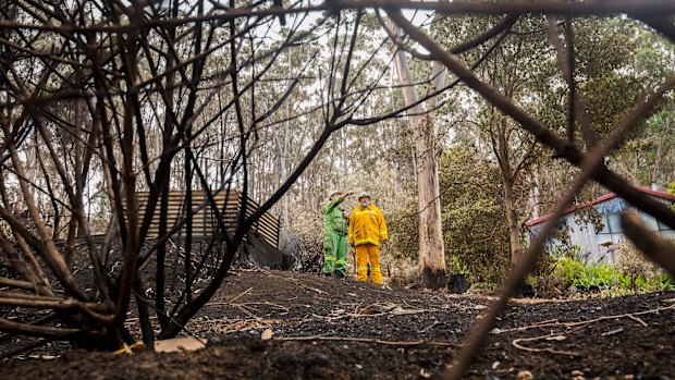 Firefighters inspect  the devastation in Separation Creek after the December bushfires.