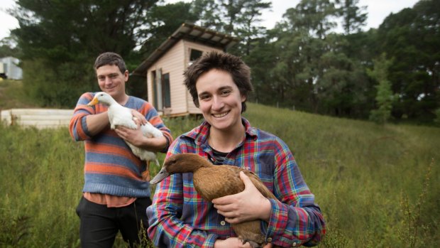 Rachel Newby and Liam Culbertson aim to live on less than $100 a week as part of the Wurruk'an eco village in Gippsland. 