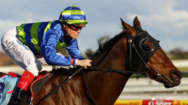 Moudre will be one of the top fancies in Wednesday's Geelong Cup.