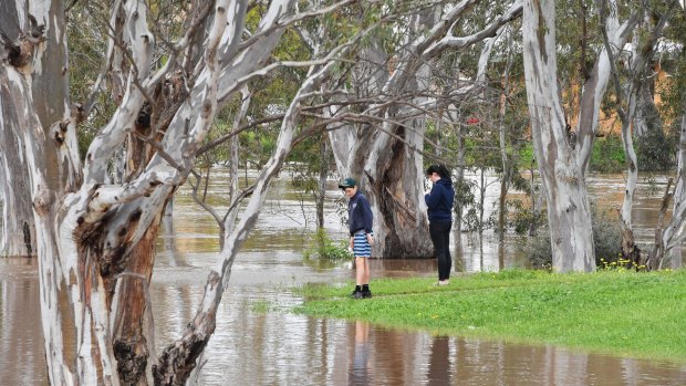 Residents check out floodwater in the riverside Victorian town of Charlton, which is at risk of further flooding in the coming days. 