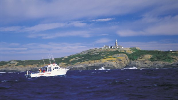 On the rocks ... a charter boat off Montague Island.