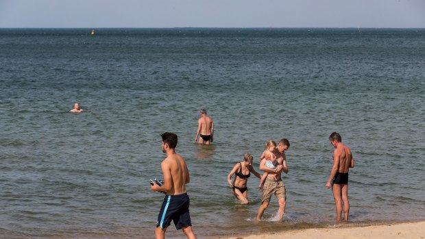 People cooling off in the water at St Kilda Beach on Sunday.