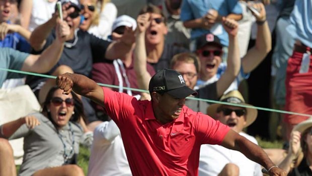 Back on top ... Tiger Woods.