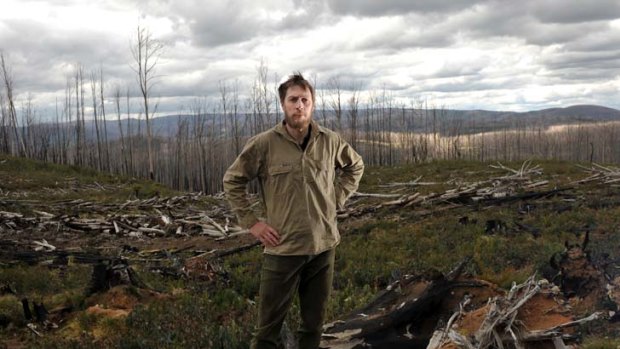ANU researcher David Blair stands amid burnt timber in the Marysville State Forest, which has been denuded of old-growth because of wildfire.