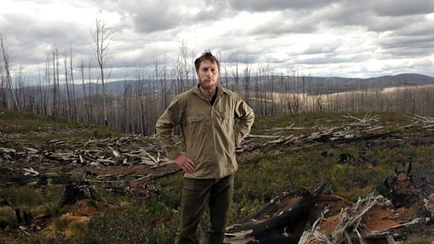 ANU researcher David Blair stands amid burnt timber in the Marysville State Forest, which has been denuded of old-growth because of wildfire.