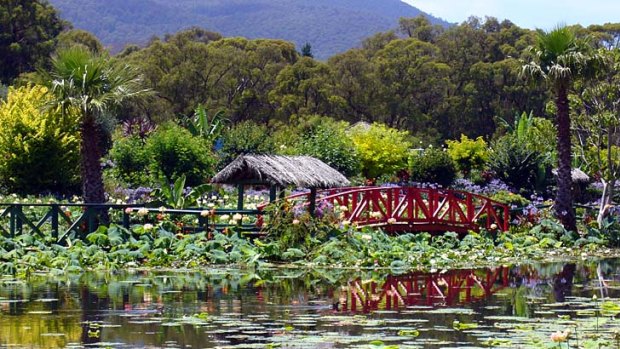 Fresh take ... appetites and a love of flora are catered for at Blue Lotus Water Garden.