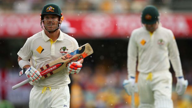 Golden summer: David Warner got among the runs and the money last year, as did several of Australia's top cricketers.