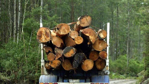 VicForests has rejected damning analysis and claims it delivered overall profits since 2004.