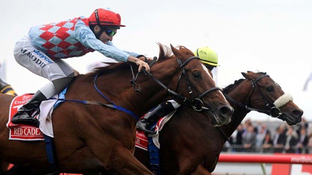 Winners ... Dunaden, right, ridden by Christophe Lemaire and Red Cadeaux ridden Michael Rodd, at the 50-metre mark in last year's Melbourne Cup.