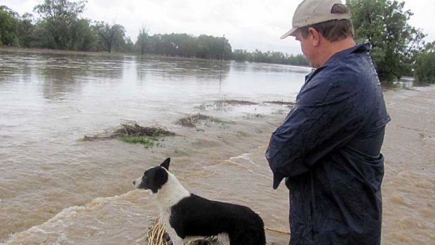 Ian Bailey and his dog Scotty inspect a flooded road south-east of Moree earlier this week.