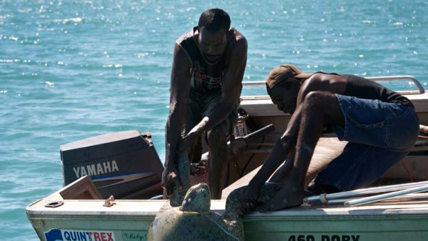 Birthright ... a turtle is dragged on board a boat in a practice that is reserved exclusively for indigenous people.