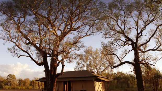 Wildman Wildeness, Point Stuart in the Northern Territory.