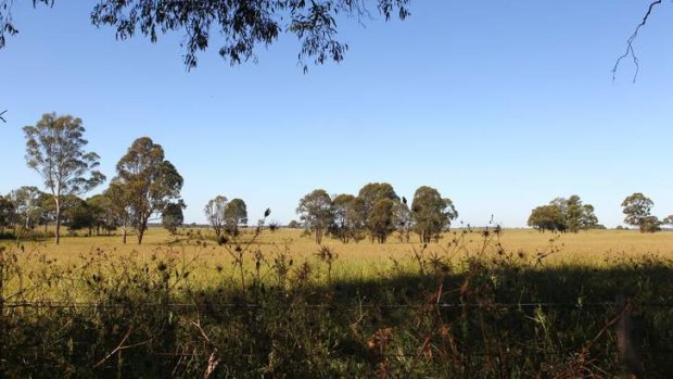 Options: Badgerys Creek, one of two potential sites for the proposed second Sydney Airport.