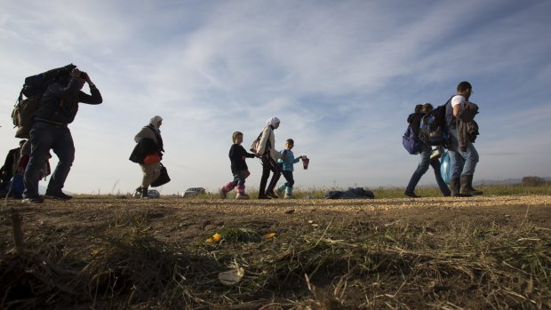 Migrants move through fields after crossing from Croatia to Slovenia on Sunday.