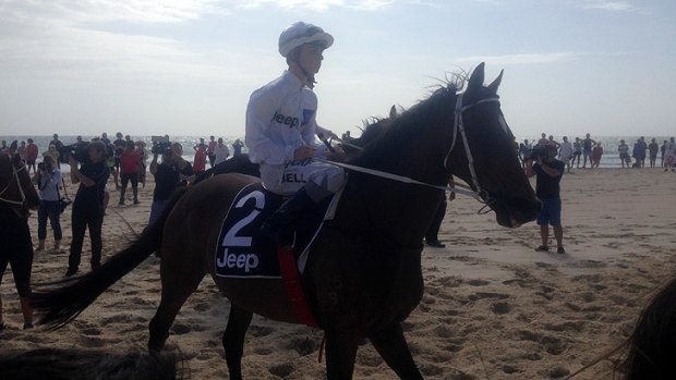 The running of the horses on Surfers Paradise beach for the Magic Millions.