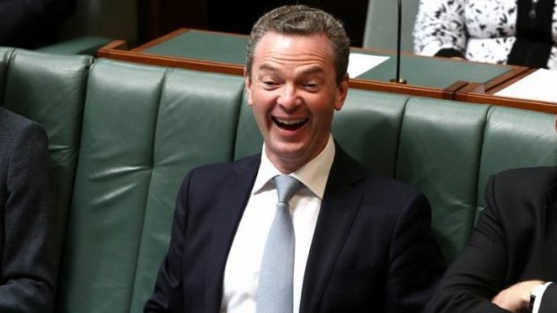"You're such a ...": opinions vary on the word Christopher Pyne used.
