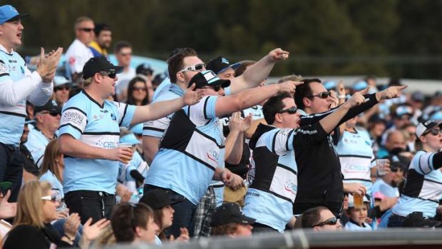 Bitter-sweet: Cronulla fans would have mixed emotions if the Sharks broke their 46-year premiership drought.
