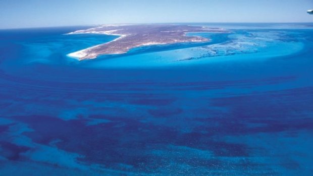Scientific research shows climate change is endangering WA's beloved Shark Bay.