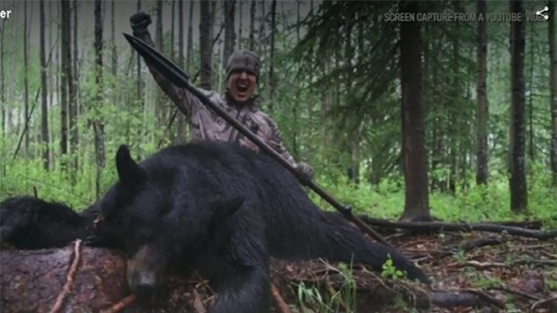 US hunter Josh Bowmar impaled a black bear in Canada with a custom-made spear before leaving the animal to die