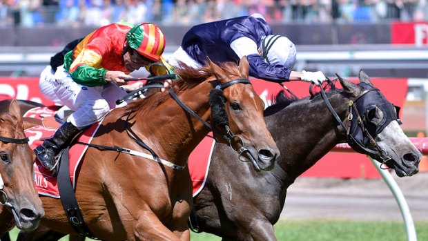 Perfect timing &#8230; Damien Oliver, left, works hard to lift Happy Trails to a heart-stopping victory in the Emirates Stakes at Flemington on Saturday.