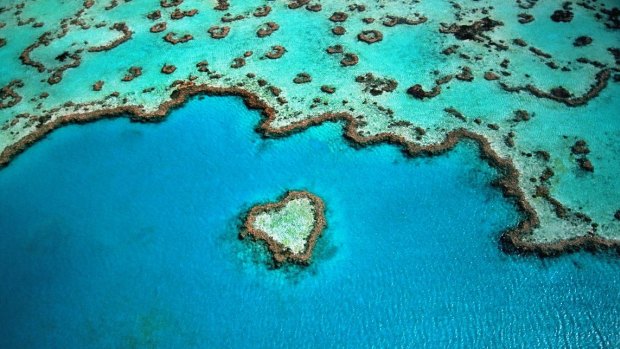Explore the world's largest coral reef system, The Great Barrier Reef