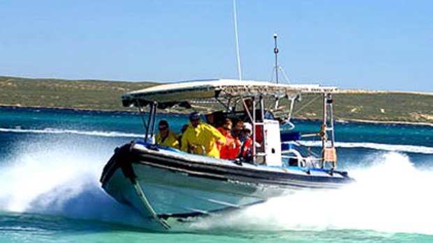 A photo of the Aqua Rush speedboat on the www.sharkbayssnorkel.com.au website.