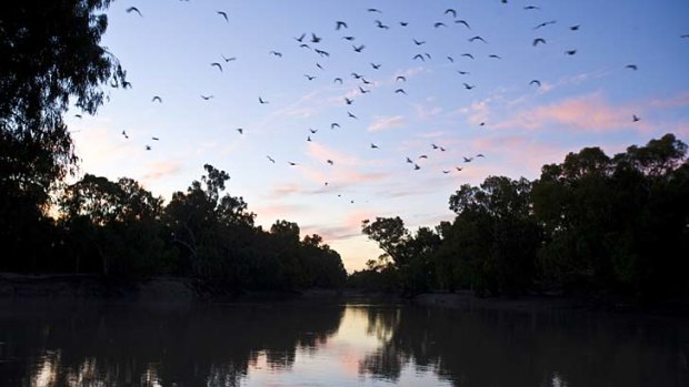 Contentious ... the Murray Darling Basin has caused successive governments problems.