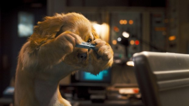 In Cats & Dogs: The Revenge of Kitty Galore pet animals use hi-tech gadgets to keep the world safe from villainous felines.