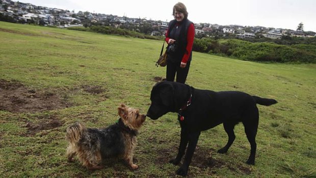 Whiff of freedom: Judy Brown walking her dog Bella, left, at Flora Reserve, Curl Curl.