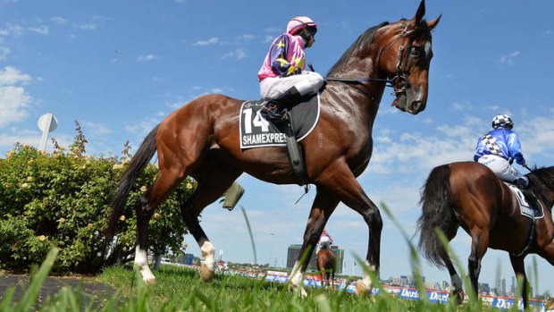 "He (Shamexpress) has still got to find three or four lengths to win a big group1 like the July Cup": trainer Danny O'Brien.