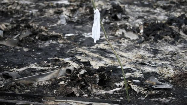 A white flag marks the site of a body among the wreckage of flight MH17 in eastern Ukraine.