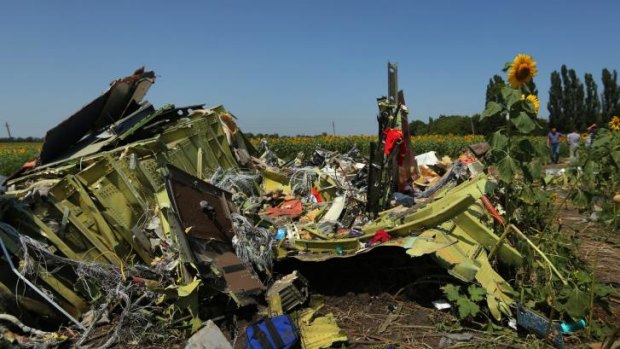 Debris from the front section of Malaysian flight MH17 on the outskirts of Rassypnoe village.