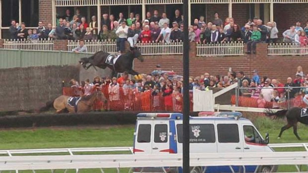 The terrifying moment when Banna Strand leapt into the crowd at yesterday's Grand Annual Steeplechase in Warrnambool.