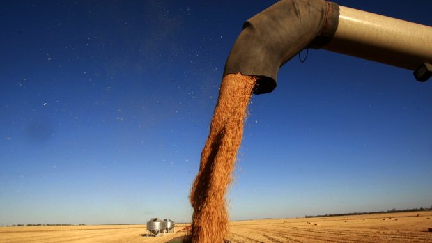 ​Less than favourable weather has made this year challenging for many grain growers.