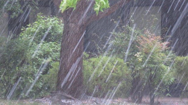 Hail in Canberra, taken by @GillianPolack