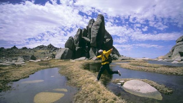 Large parts of Kosciuszko National Park were previously off limits.