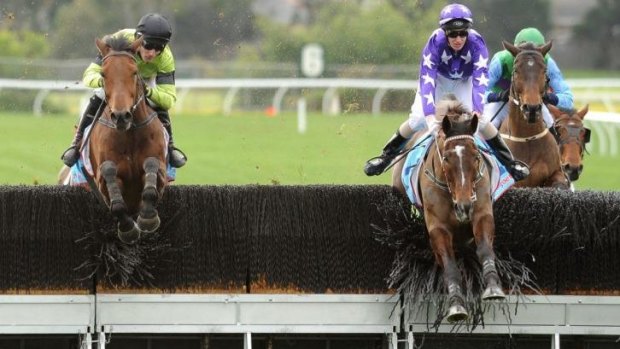 Over he goes: Steven Pateman riding Bashboy, left, jumps ahead of Brad McLean riding Maythehorsebemagic in Race 3, the Crisp Steeplechase, during the Grand National Hurdle day at Sandown.