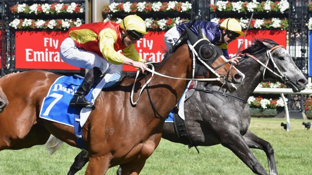 Delectation will join a quality field at the Black Caviar Lightning Stakes.