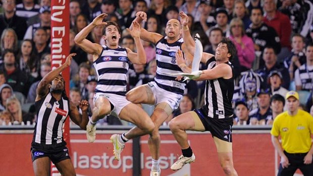 Screamer: Geelong's Daniel Menzel (second from left) proved his worth as he and teammate James Podsiadly fly high over Magpies Harry O'Brien (left) and Leigh Brown.