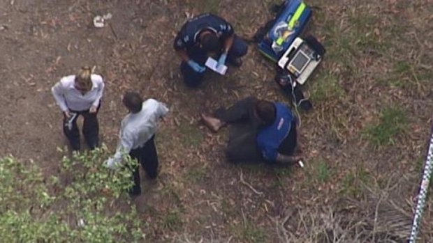 A man has been shot by police south of Brisbane.