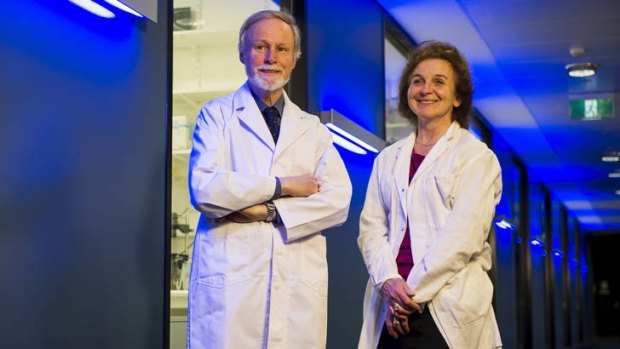 Professor Christopher Parish and Dr Charmaine Simeonovic discuss progress while their team continue to work towards a greater understanding of Type 1 Diabetes.