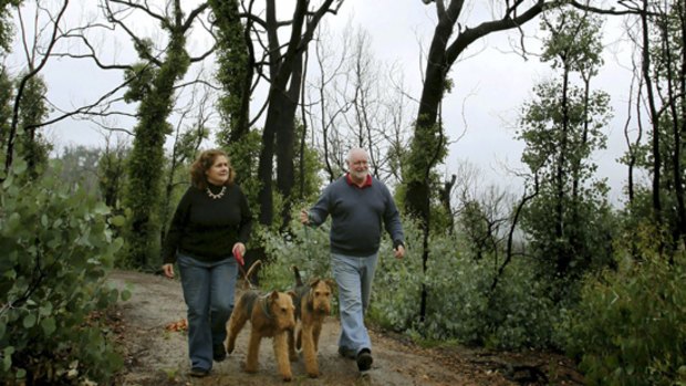 Ron and Anne Sorraghan walk their dogs on their burnt-out property at St .Andrews.