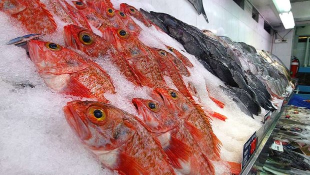 Fishy foods are a common cause of food poisoning cases in Queensland.