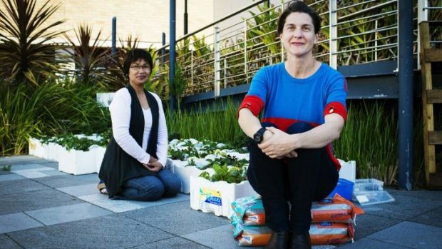 "Really beautiful colours": Naty Millarez and Roise Dennis look on as workers construct <i>Democratic Garden</i>.